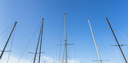 Obraz premium Sailing boat trees under beautiful blue sky