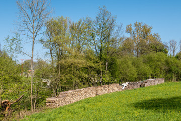 Fototapeta premium Brennholz