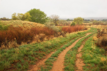 Fototapeta premium Country road with fog rolling in