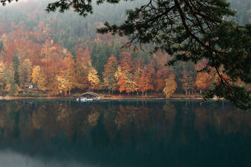 Naklejka na ściany i meble Panoramic view of scenic idyllic autumn landscape in the Bavarian Alps at famous mountain lake Alpsee, Fussen, Allgau, Upper Bavaria, Germany