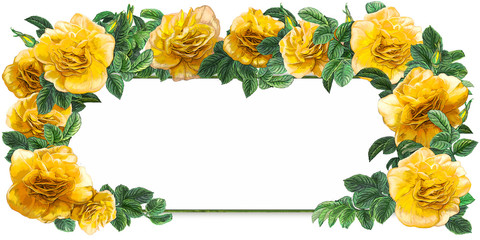cartoon scene with beautiful and colorful flowers on white background