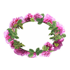 cartoon scene with beautiful and colorful flowers on white background