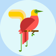 Cartoon tropical peacock wild animal bird vector illustration and wildlife cute feather zoo color nature vivid perch tropics fly fauna jungle pretty tail.