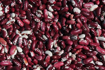 Texture of dried painted pony bean Phaseolus Vulgaris 