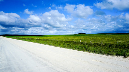 Green Outback of Australia