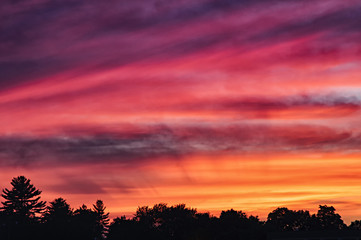 Cotton candy sunset