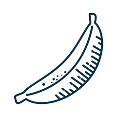 banana fruit icon over white background. vector illustration