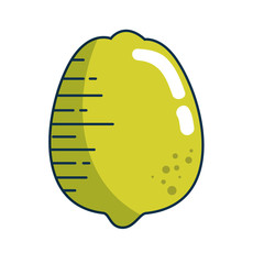 lemon acid fruit icon over white background. colorful design. vector illustration