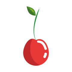 cherry fruit icon over white background. colorful desing. vector illustration