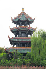 Fototapeta na wymiar pagoda and trees against white sky