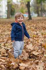 Happy little child, baby boy laughing and playing in autumn