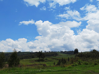 Agricultural field in Sacred Valley, Cusco
