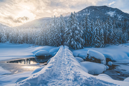 Snow Bridge