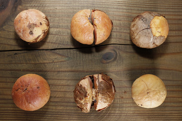 Fototapeta na wymiar Avocado nuts on wooden background
