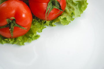 Tomato, vegetable and salad on white background