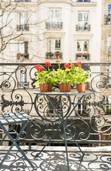 Springtime with red geraniums on a Paris balcony