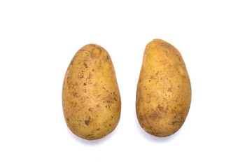 ジャガイモ　メークイン