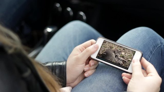 Teenager Watches Generic Animal Documentary On Her Smartphone In Passenger Seat Of Car