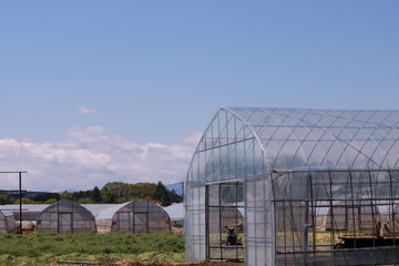 青空と温室の風景