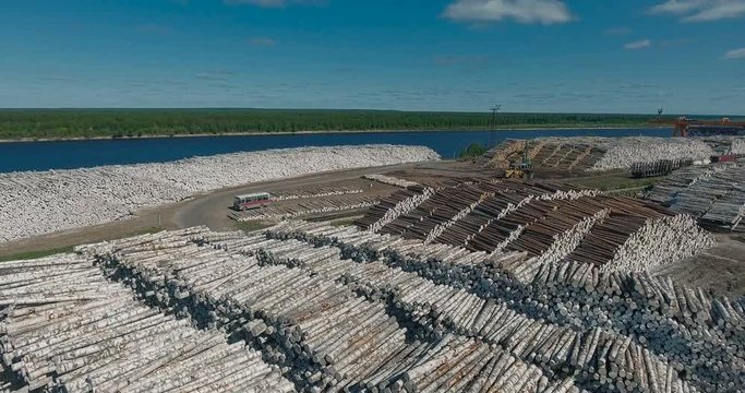 Piles of wooden logs