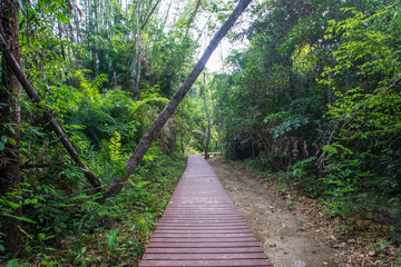 walkway in the forest, Huaymaekamin Waterfall in  Kanchanaburi Province, Thailand