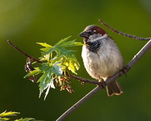 In The warmth of the Sun