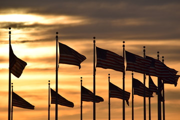 American flags at sunset