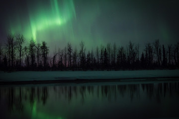 Northern Lights