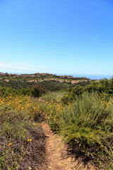 Bobcat Hiking Trail in Newport Beach