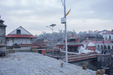 Pashupatinath Temple Nepal