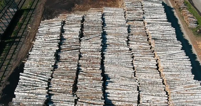 Wood procurement in Russia