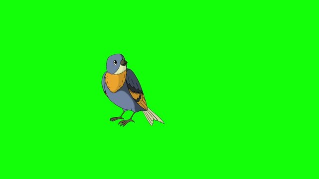 Blue Bird Came Flying and Flies Away