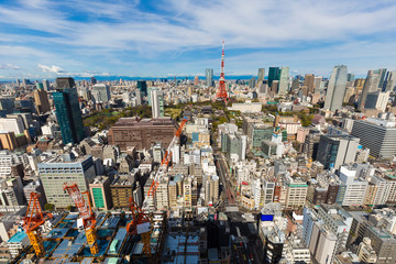 Cityscape of tokyo skyline in the morning with tokyo tower, Japan central business district