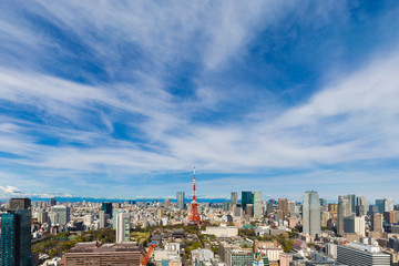 Cityscape of tokyo skyline in the morning with tokyo tower, Japan central business district