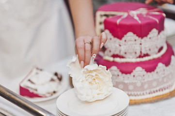 The division into parts of the wedding cake 7999.