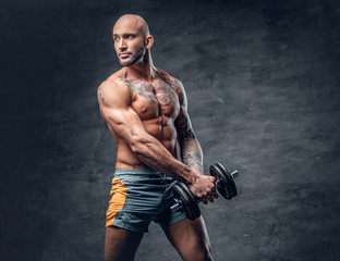 Fototapeta na wymiar Studio portrait of athletic shirtless shaved head tattooed male dressed in a sports shorts holds dumbbell.