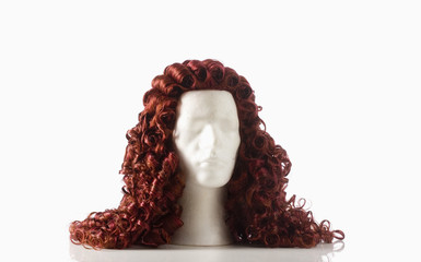 Mannequin Male Head with Alonge Wig