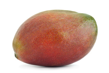 Mango tropical fruit 0n white