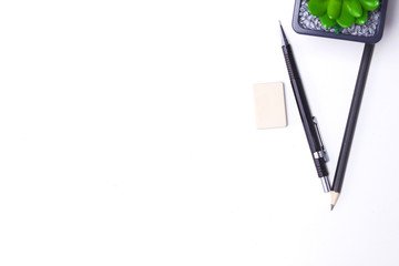 Pencils, notebook and cactus lie on the desktop
