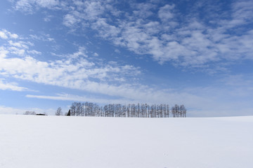 北海道、美瑛の雪景色
