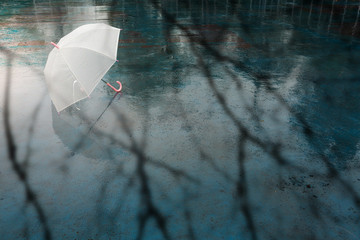 Umbrella on  rainy day.