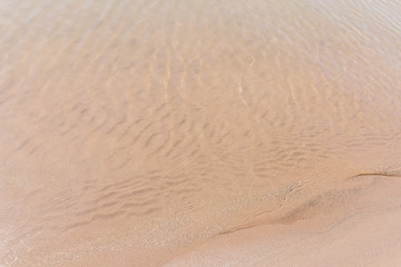 Plakat Lines in the sand of a beach
