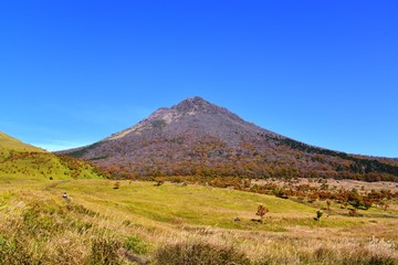 由布院の紅葉