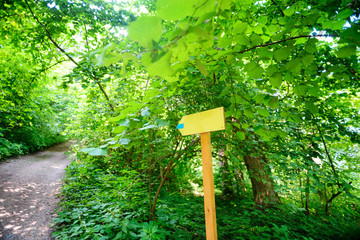 yellow arrow wooden sign showing to the left with the road in the woods