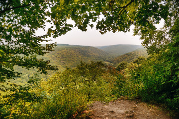 Mountain landscape, wonderful forest on Mount germinating