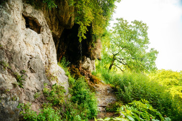 Beautiful landscape with small waterfalls in dense forest