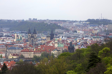 Fototapeta na wymiar View on the spring Prague City with the green Nature and flowering Trees, Czech Republic