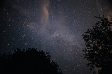 A clear night sky with a hill and trees in the foreground