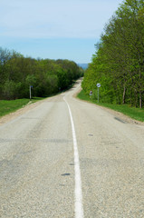 Road in the forest