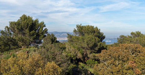 Forêt du Var et rade de Toulon